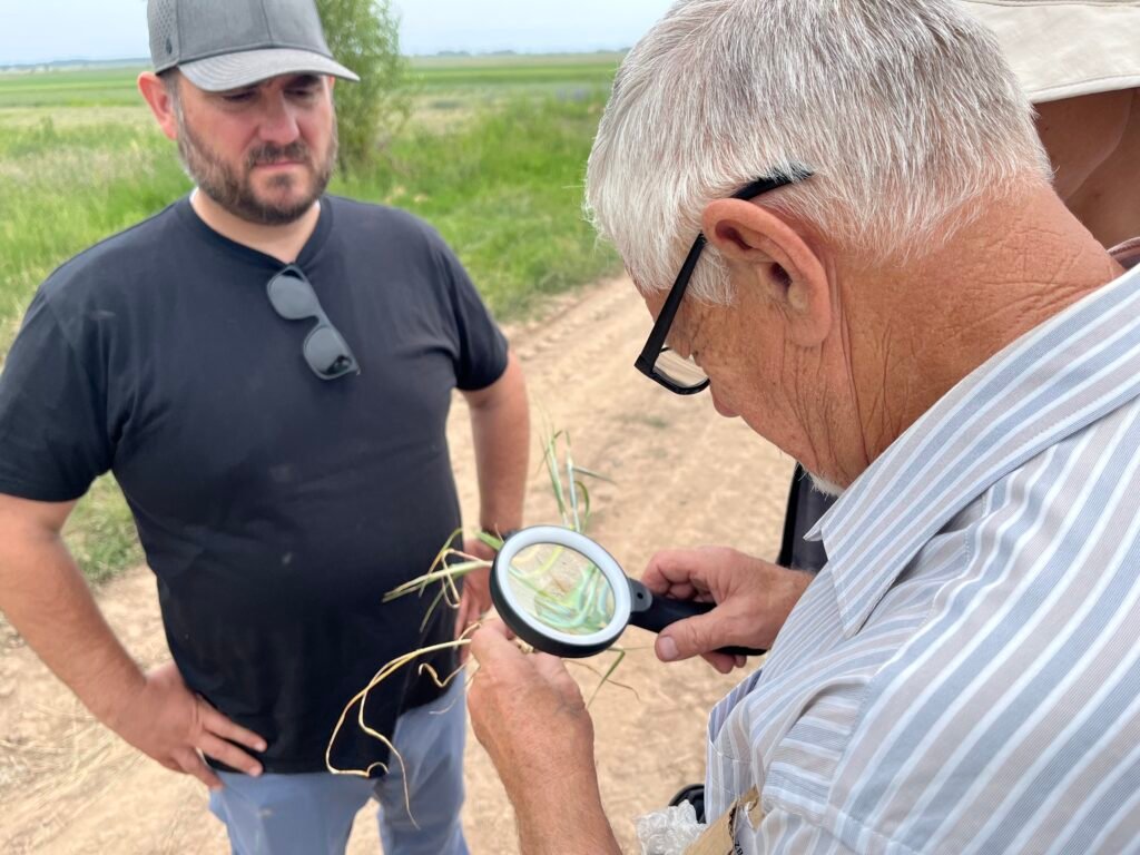 What is Integra Biofertilizer?
